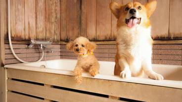 メイン イメージ / 1