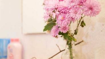 内装の詳細 / 14