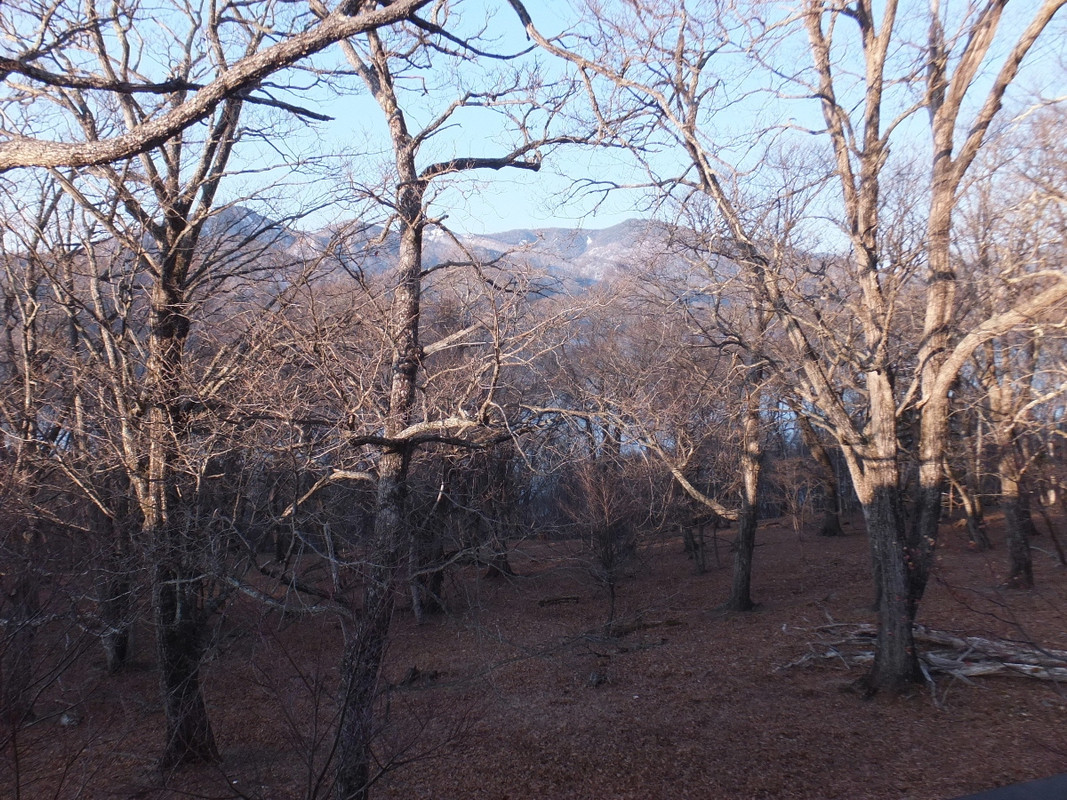 部屋からは中禅寺湖が少しだけ見えます。