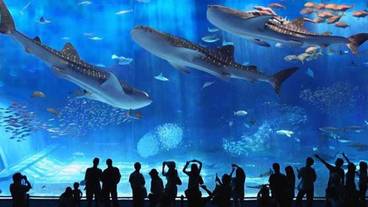 スポーツ設備 / 2