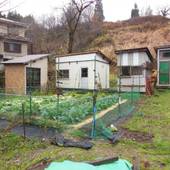 越後湯沢温泉 ロッジ スエヒロ(新潟県 民宿) / 3