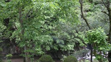 マウンテン ビュー / 12