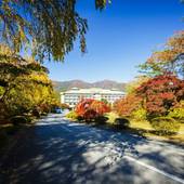 河口湖温泉 富士屋ホテル河口湖アネックス 富士ビューホテル（山梨県 リゾートホテル） / 3