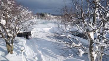 部屋からの景観 / 15