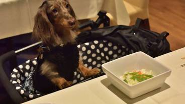 カフェ・バー② / 6