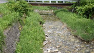 施設からの眺望 / 15