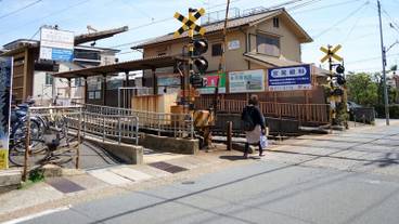 シティ ビュー / 12