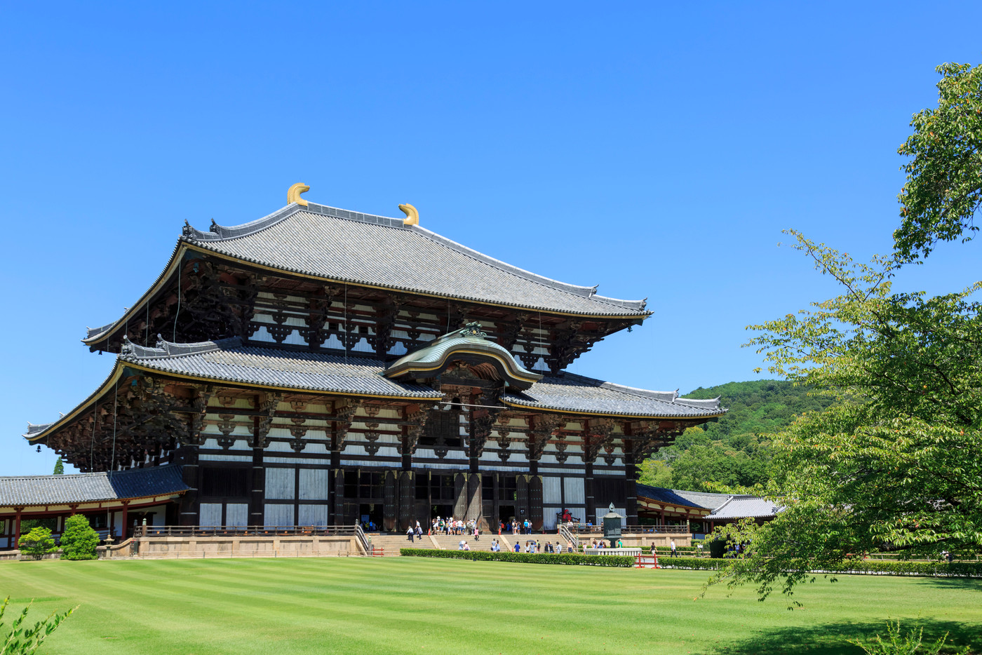 奈良県・東大寺・大仏殿(金堂)