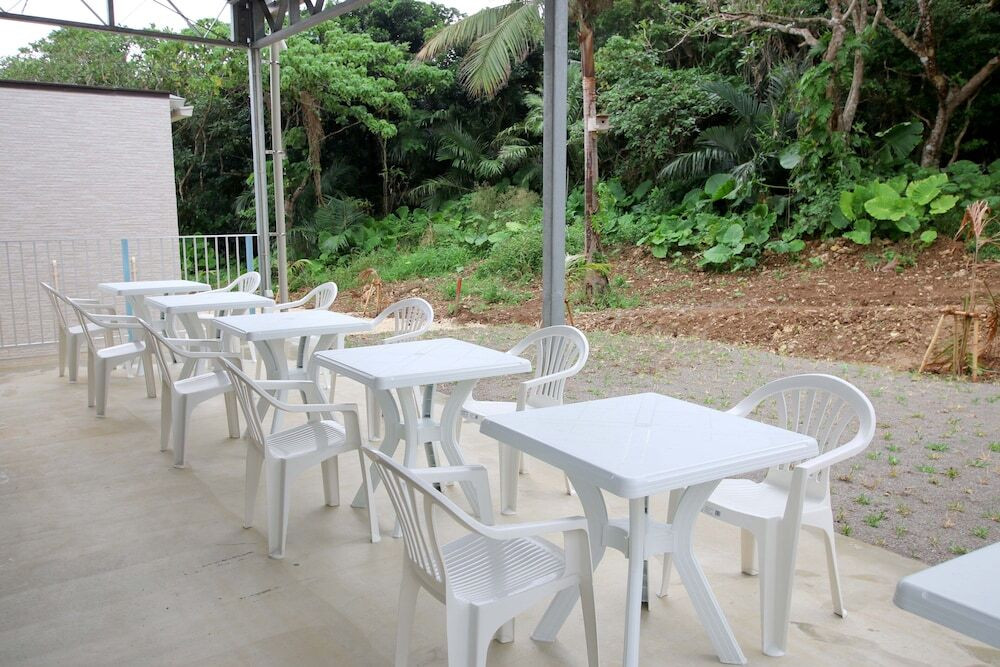 テラス / パティオ