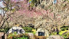 熱海伊豆山温泉 ハートピア熱海