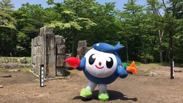 施設からの眺望 / 26