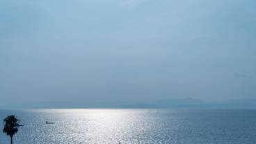 ビーチ / オーシャン ビュー / 15