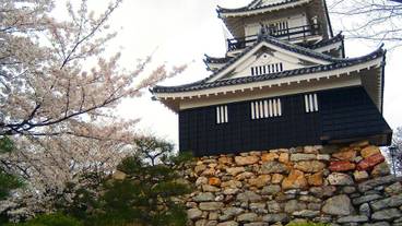 シティ ビュー / 14