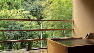 ジュニア スイート (with Terrac, Hikari)