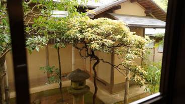 部屋からの景観 / 30