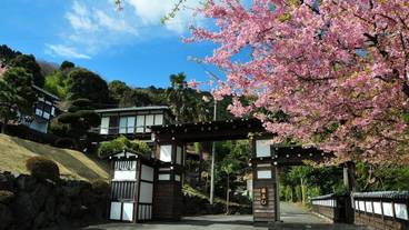 メイン イメージ / 1