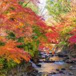 温泉に紅葉、グルメ…秋の魅力いっぱい！週末ドライブで行きたい温泉地