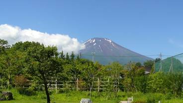 ホテルからの眺望 / 1