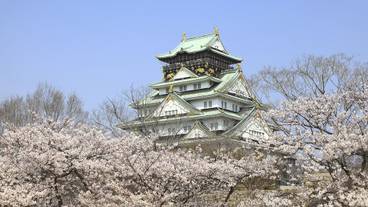 施設からの眺望 / 11