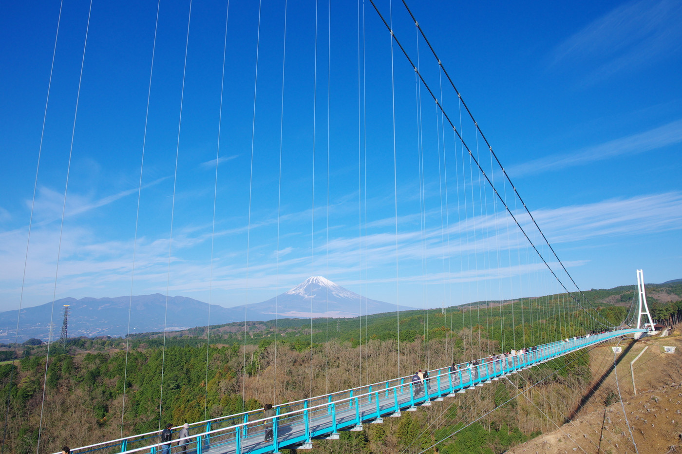 三島スカイウォークと富士山