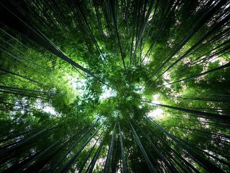 プラージュ 由比ガ浜 / 5