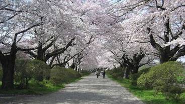 施設からの眺望 / 29