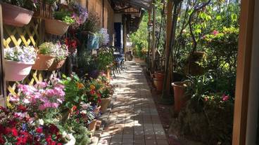 テラス / パティオ / 8