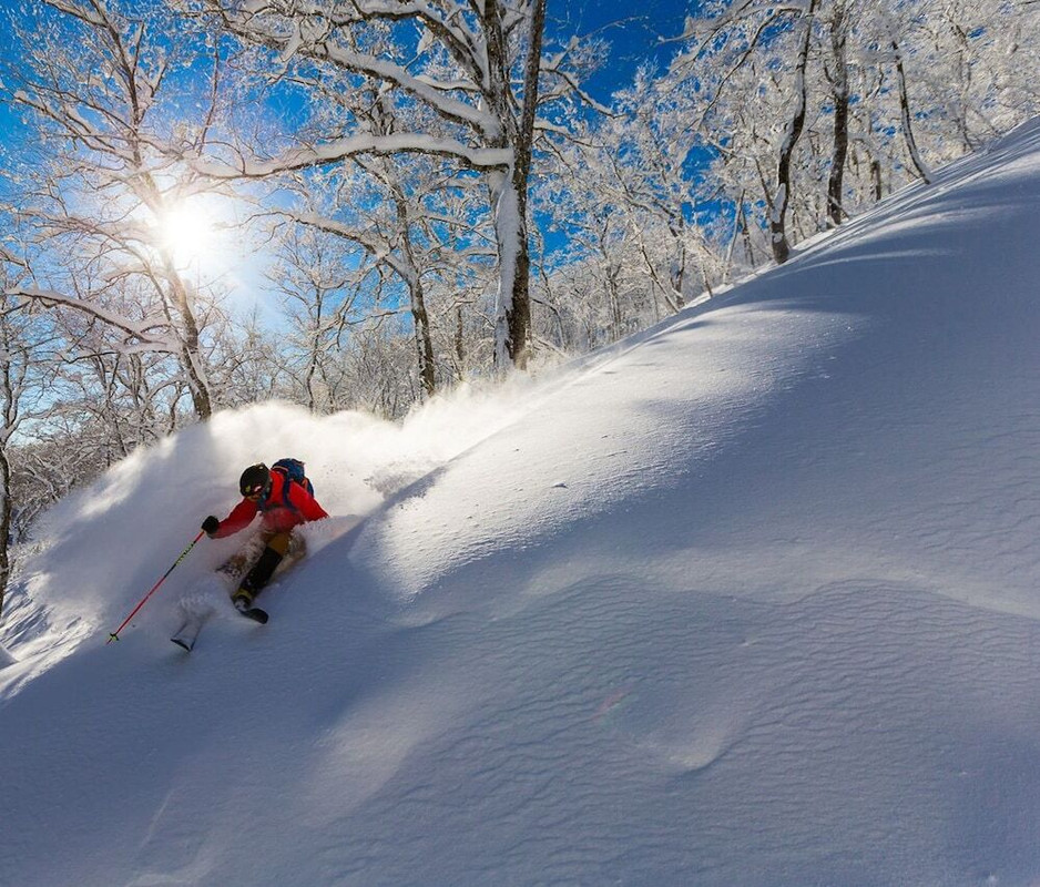 スノー スポーツとスキー