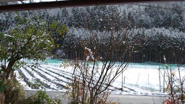 施設からの眺望 / 10