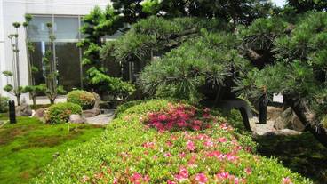 日本庭園 / 14