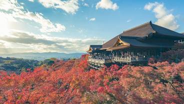 観光スポット / 7