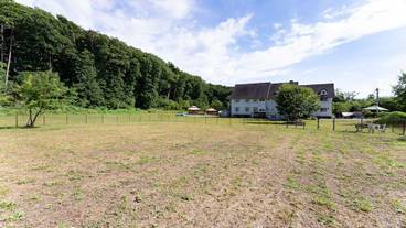 ペット用設備・サービス / 4