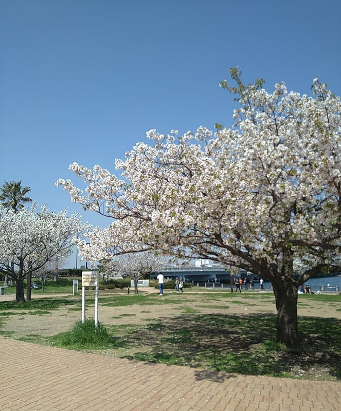 sayaka.0o0さんの写真 / 1