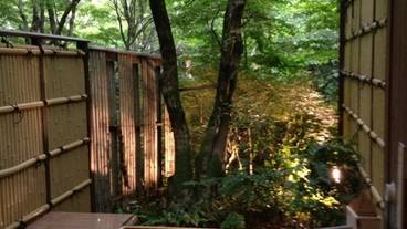 箱根小涌谷温泉 水の音(ハコネコワクダニオンセン ミズノト) / 3