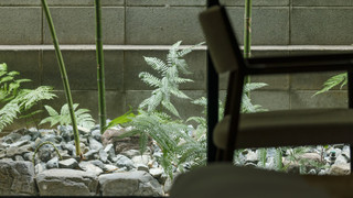 スーペリアツインルーム 庭付き