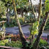 ガーデン荘（東京都 民宿） / 3