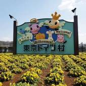 ホテル スワンレイク長柄(千葉県 リゾートホテル) / 3