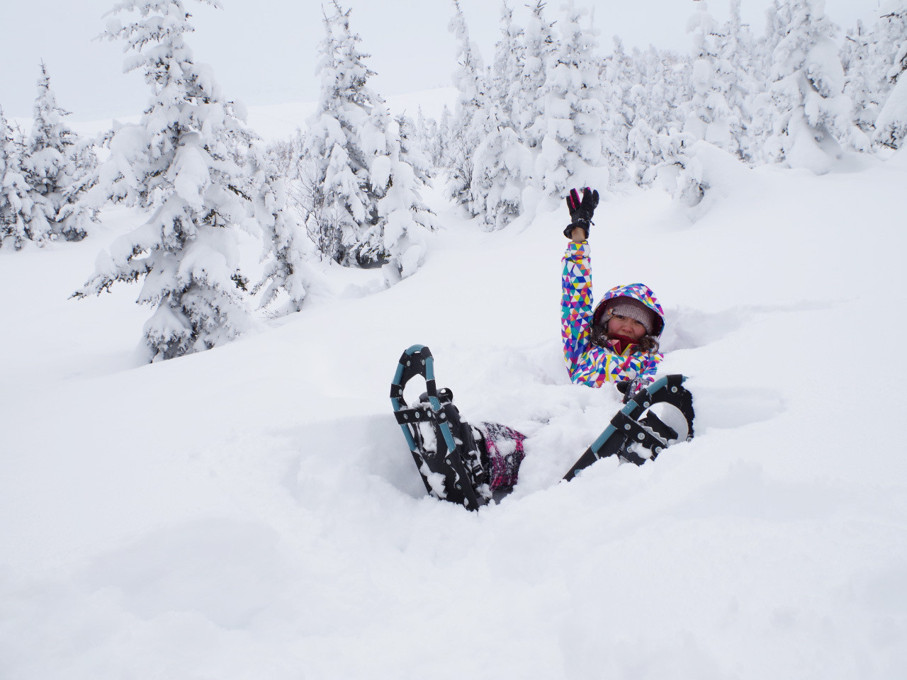 パウダースノーを思いっきり楽しむ「スノーシュー遊び」と焼きリンゴづくり1785515