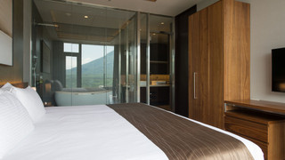 ペントハウス 5 ベッドルーム マウンテンビュー