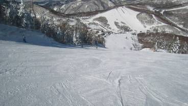 スノー スポーツとスキー / 8