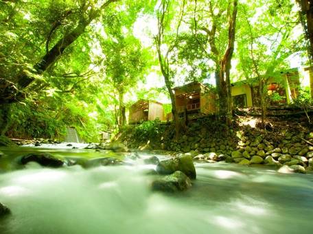 河津七滝 渓流温泉茶寮 水鞠－mizumari－ / 4