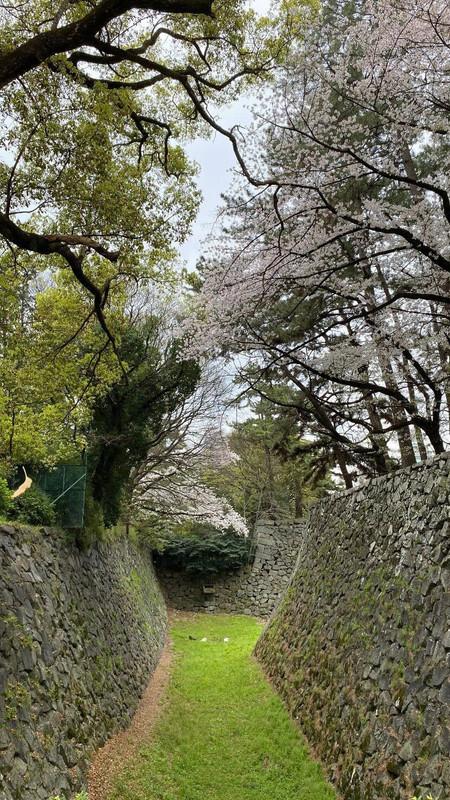 minatoya0711さんの写真 / 3