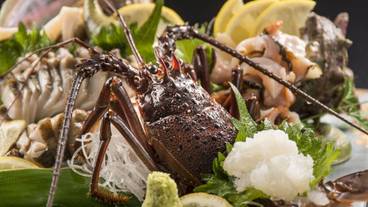 食事・飲み物 / 5