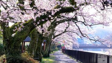 シティ ビュー / 40