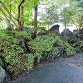 山鹿温泉 熊本旬彩の宿ゆとりろ山鹿(熊本県 旅館) / 4