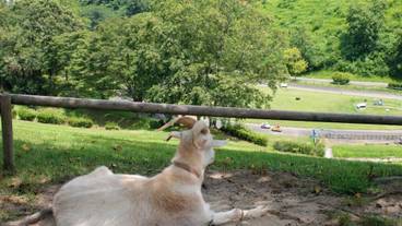 子供用の遊び場 - 屋外 / 7