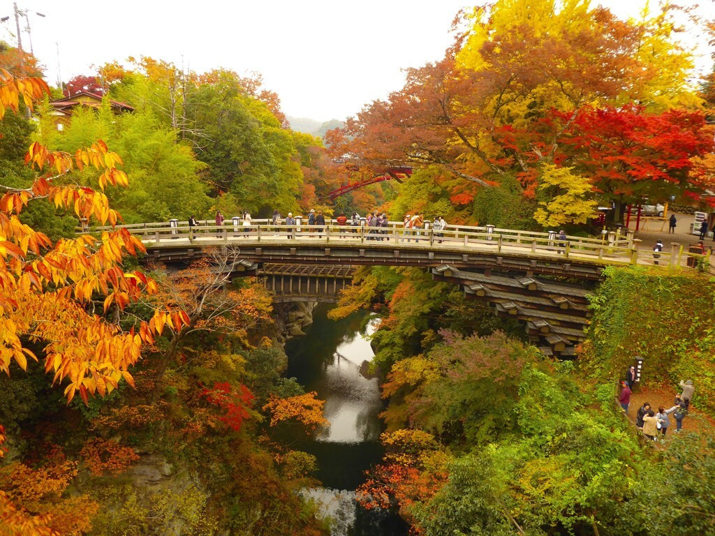 山梨県を代表する紅葉の名所で国の名勝に指定されている刎橋1478149