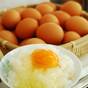 【楽天スーパーSALE】【シンプルSTAY・1泊朝食】ビジネス・観光に・朝日を見ながら朝食を | 三河湾リゾートリンクス