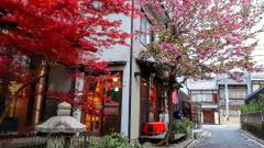 ゲストハウス ソイ