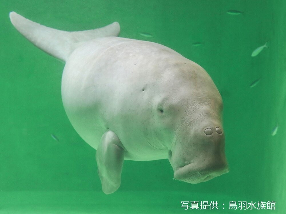観光スポット